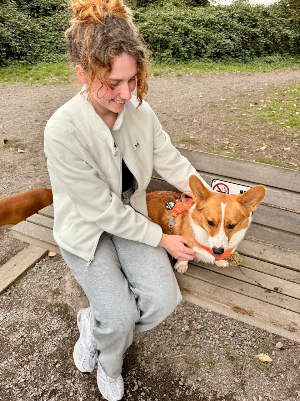 Gucci (Pembroke Welsh Corgi)
