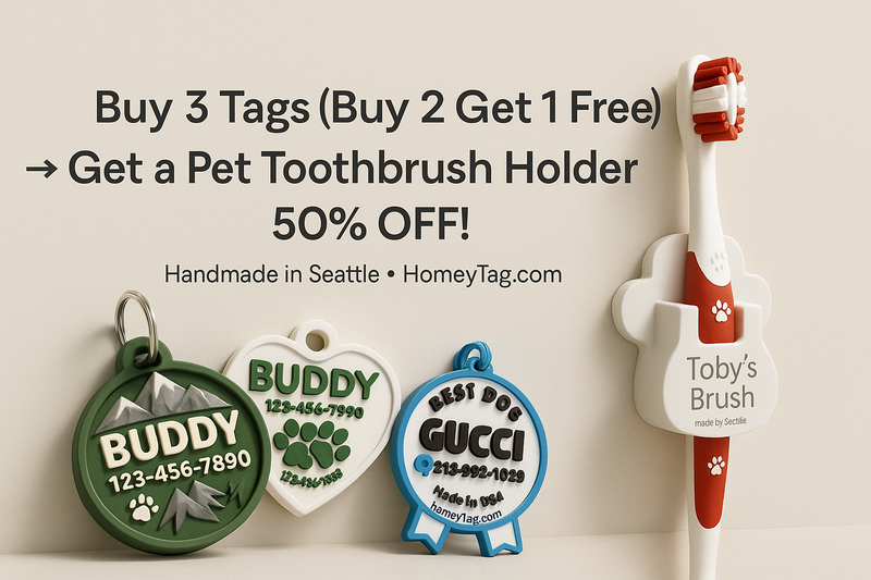 Custom Pet Tag Design - Before