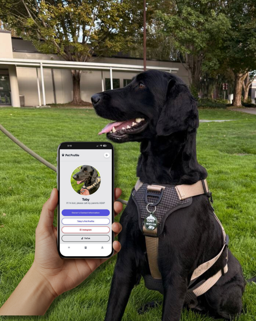 One Tap. Everything They Need to Know.