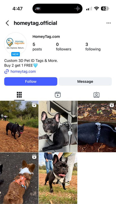 Instagram preview